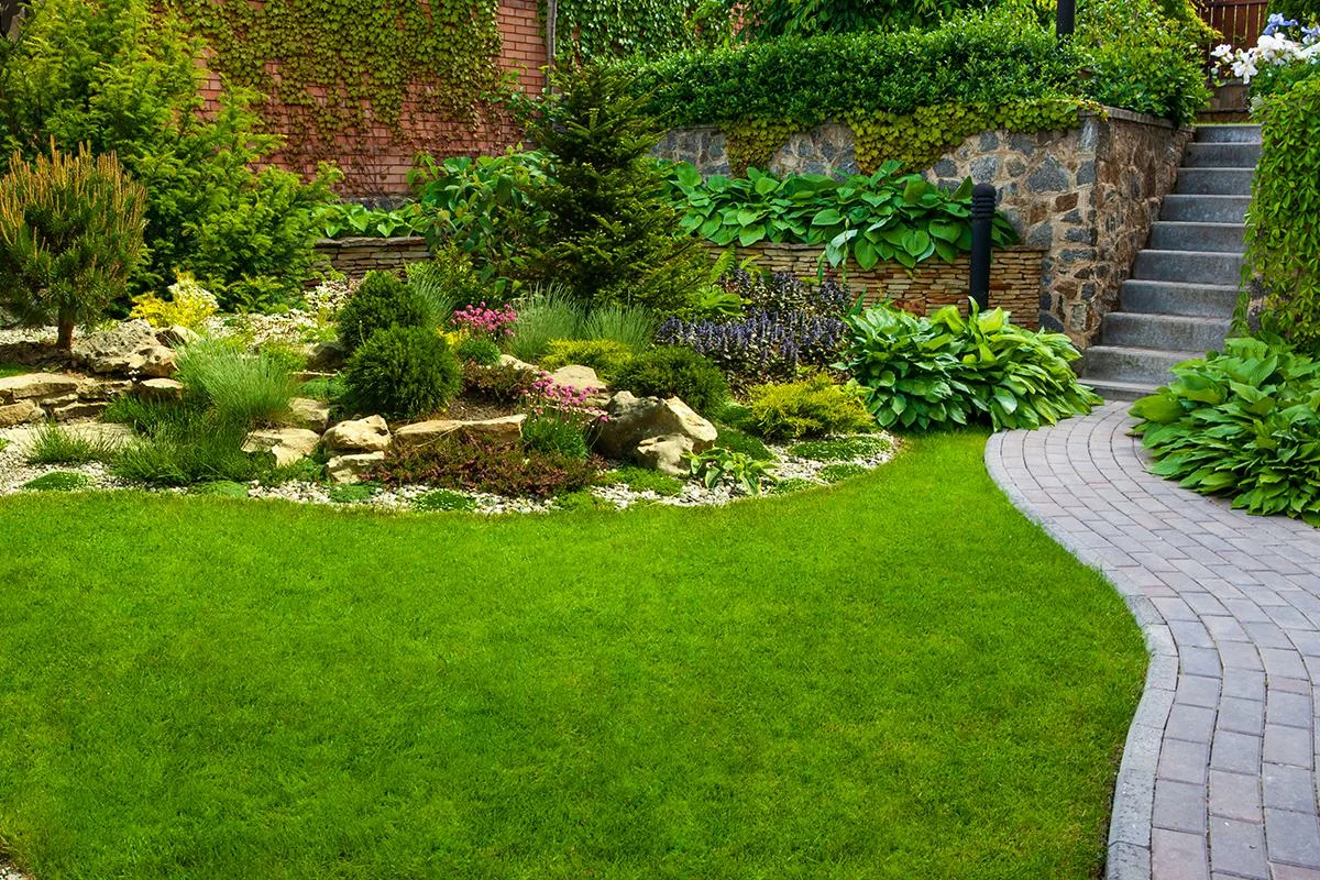 Blitzoraedyn: เนรมิตสวนในฝัน ออกแบบ จัดสร้าง และดูแล